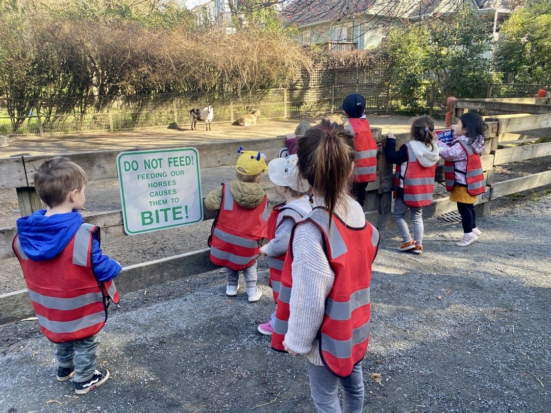 Children looking at horses